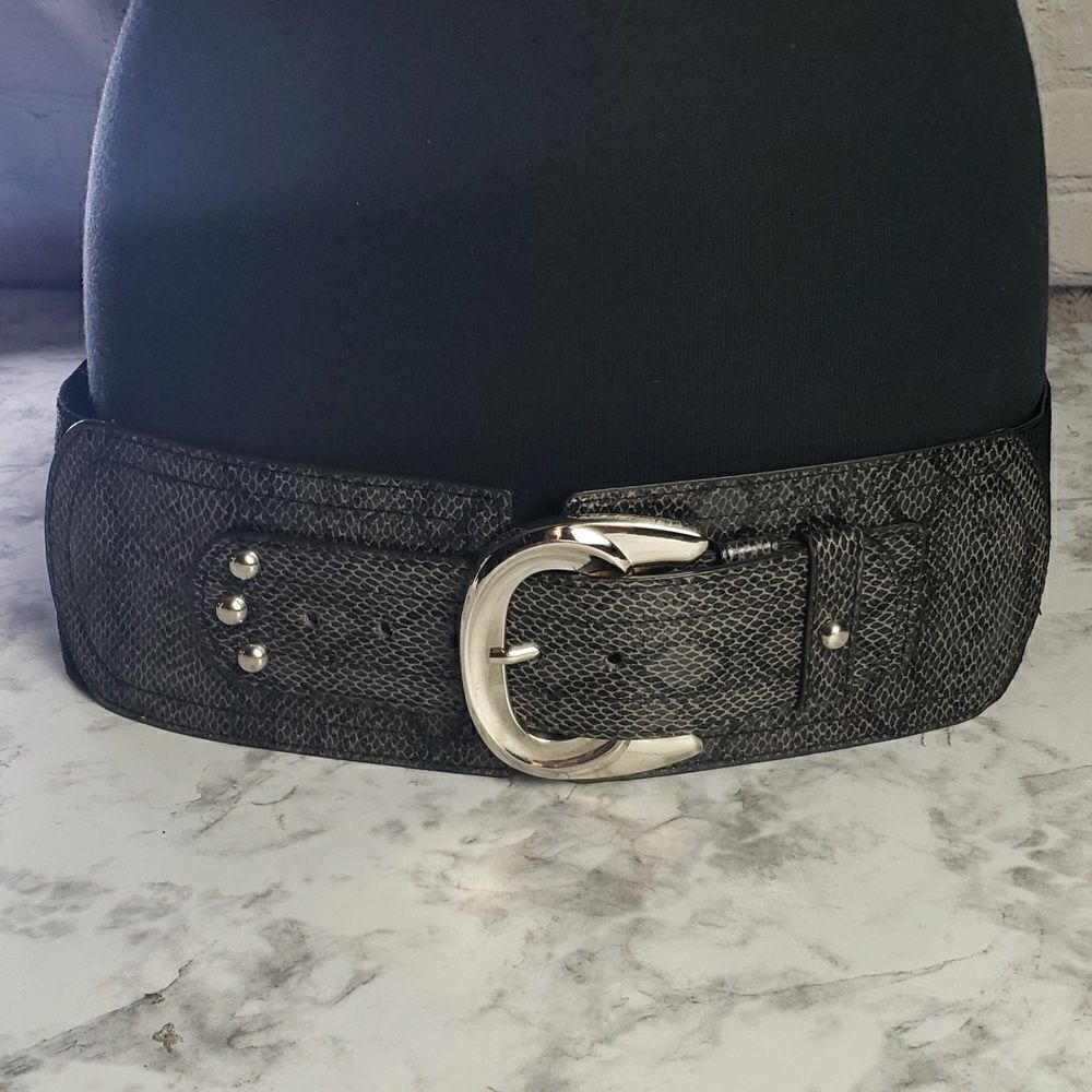 Gray and Black Belt